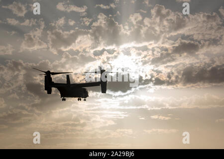 U.S. Marine Corps MV-22 Osprey avec des Force-Crisis Response-Africa Tâche air-sol marin 20.1, Forces maritimes de l'Europe et l'Afrique, extraire des Marines (une zone de débarquement au cours de la formation d'une force de réaction rapide à la station navale de Rota, Espagne, 30 septembre 2019. La répétition a augmenté les Marines leur aptitude à mener les procédures de liaison, sur scène et en voie de stabilisation, les traumatismes et les opérations offensives et défensives. SPMAGTF-CR-AF est déployée pour effectuer d'intervention en cas de crise et le théâtre des opérations de la sécurité en Afrique et de promouvoir la stabilité régionale en effectuant des exercices de formation militaire Banque D'Images