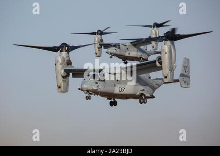 U.S. Marine Corps MV-22 Ospreys avec des Force-Crisis Response-Africa Tâche air-sol marin 20.1, Forces maritimes de l'Europe et l'Afrique, se préparer pour extraire des Marines (une zone de débarquement au cours de la formation d'une force de réaction rapide à la station navale de Rota, Espagne, 30 septembre 2019. La répétition a augmenté les Marines leur aptitude à mener les procédures de liaison, sur scène et en voie de stabilisation, les traumatismes et les opérations offensives et défensives. SPMAGTF-CR-AF est déployée pour effectuer d'intervention en cas de crise et le théâtre des opérations de la sécurité en Afrique et de promouvoir la stabilité régionale par la conduite des trains militaires Banque D'Images