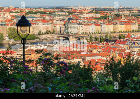 Voir la colline de Petrin au dessus des toits et des édifices historiques de Mala Strana à Prague avec verdure, fleurs violettes et lampe de rue sous le soleil Banque D'Images