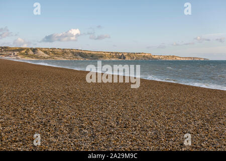 Plage de Chesil, couverts de bardeau, l'île de Portland dans l'arrière-plan, Dorset, Angleterre du Sud-Ouest, Royaume-Uni. Banque D'Images