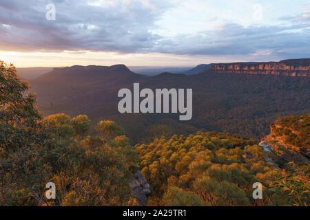 Kings Tableland dans les Blue Mountains National Park, New South Wales, Australie Banque D'Images