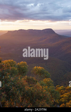 Kings Tableland dans les Blue Mountains National Park, New South Wales, Australie Banque D'Images