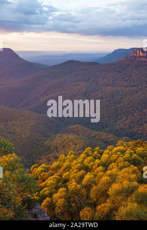 Kings Tableland dans les Blue Mountains National Park, New South Wales, Australie Banque D'Images