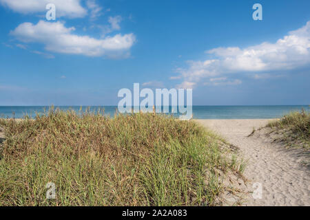 Plage de sable fin de ronde à une plage vide at Avalon State Park à Fort Pierce, Floride. Banque D'Images