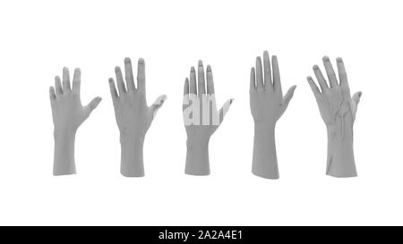 Le rendu 3D de plusieurs mains isolées en fond studio blanc Banque D'Images
