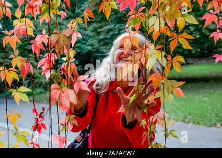 Femme et les feuilles d'automne, le Jardin botanique VanDusen, Vancouver, Colombie-Britannique, Canada. Banque D'Images