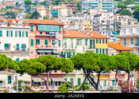 Multicolore dynamique des bâtiments, l'architecture de la vieille ville médiévale de Sanremo avec pins de plus en plus vert vif sur le premier plan Banque D'Images