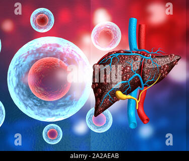 L'infection virale sur le foie humain. 3d illustration Banque D'Images