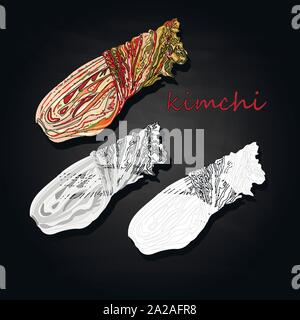 Le kimchi, la nourriture coréenne traditionnelle. Illustration sur noir Illustration de Vecteur