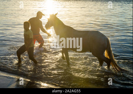 BAHIA, BRÉSIL - 15 mars 2017 : un cheval brésilien prend un bain dans la rivière avec son propriétaire sur une plage sur une île éloignée de Nordeste Bahia. Banque D'Images