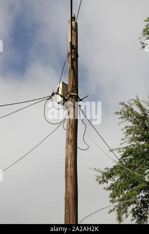 Le fil téléphonique pôle, Moreleta Park, Pretoria, la Province de Gauteng, Afrique du Sud. Banque D'Images