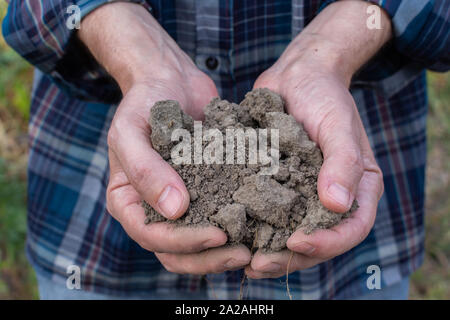 Les mains des agriculteurs avec le sol dans les paumes close-up , homme mains avec sol fertile Banque D'Images