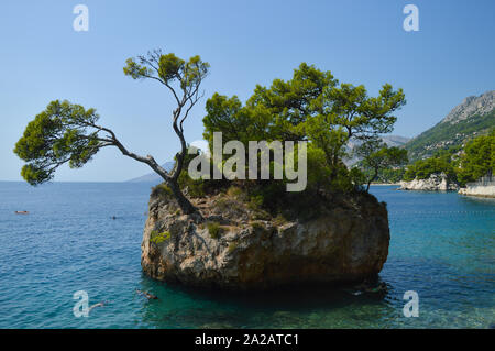 Brela célèbre pierre, rocher dans l'eau avec des pins, riviera de Makarska, Croatie Banque D'Images