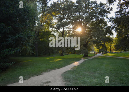 Soleil qui brille à travers la cime des arbres au parc Maksimir, Zagreb, Croatie Banque D'Images