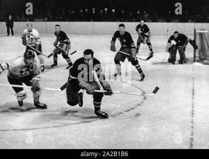 La photo montre une scène de la ronde finale de hockey sur glace en jeu entre les USA et le Canada aux Jeux Olympiques d'hiver de 1956 à Cortina d'Ampezzo. Le score final était de 4 : 1 pour les Etats-Unis. La médaille d'or est allé plus tard à l'URSS, l'argent de l'USA et le bronze pour le Canada. Banque D'Images