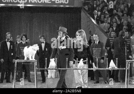 Plusieurs célébrités du cinéma et de la télévision dans l'émission de télévision de bienfaisance 'Die Goldene Zehn" (également connu sous le nom de 'Stars in der Manege'). Photo d'une femme blonde au cours de l'animal avec des colombes et un chat. Banque D'Images