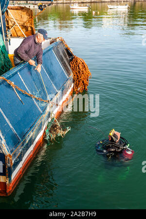 Schull, West Cork, Irlande. 2e oct, 2019. Un plongeur montres sur comme le capitaine Thomas Sheehan tire sur une corde et un pot de crabe de l'hélice du chalutier "Laetitia". Le chalutier se prépare à faire un voyage de pêche de dernière minute avant de Storm Lorenzo hits Irlande demain. Met Eireann a émis un avertissement de vent Orange Statut Statut et un avertissement de pluie jaune pour la côte ouest de l'Irlande à partir de jeudi de 9h00 jusqu'à le même temps vendredi. Credit : Andy Gibson/Alamy Live News. Banque D'Images