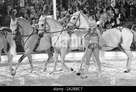 La chanteuse américaine Peggy March effectue avec des chevaux blancs sur l'émission de télévision 'Stars in der Manege' en 1971. Banque D'Images