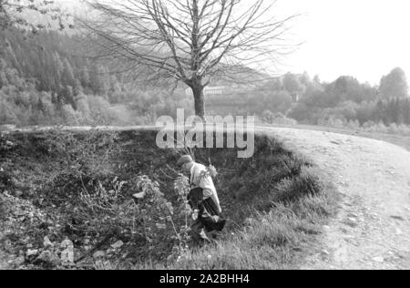 Un touriste explore un cratère de bombe sur l'Obersalzberg. L'Obersalzberg a été bombardé le 25.04.1945. Banque D'Images