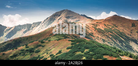 Panorama de Montagnes Tatra avec visible chemin menant à sommet Wolowiec Banque D'Images