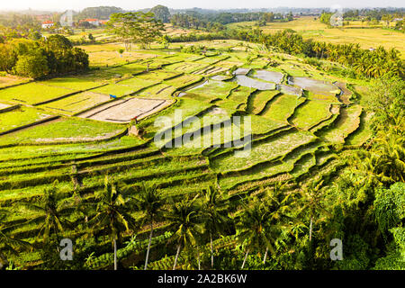 Vue aérienne à bas droit sur les terrasses de riz tropical à Bali Banque D'Images