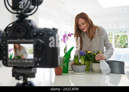Faire Vlogger femelle Social Media Vidéo sur Internet pour les soins de plantes d'intérieur Banque D'Images