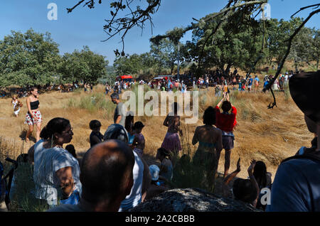 En cas d'urgence incendie au Festival Andanças 3e jour d'août 2016. Un incendie de grande ampleur ont éclaté dans le parking et un plan d'urgence a été rapidement activé par les pompiers, la police et les organisateurs du festival Banque D'Images