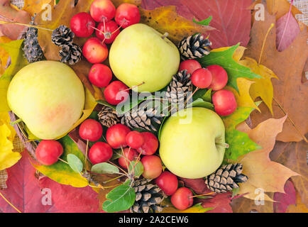 De l'automne. Composition d'automne avec des feuilles, le paradis des pommes et des pommes de pin. Banque D'Images