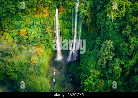 Chute d'eau immense forêt tropicale dense iin sur l'île de Bali, Indonésie, entouré de brume Banque D'Images