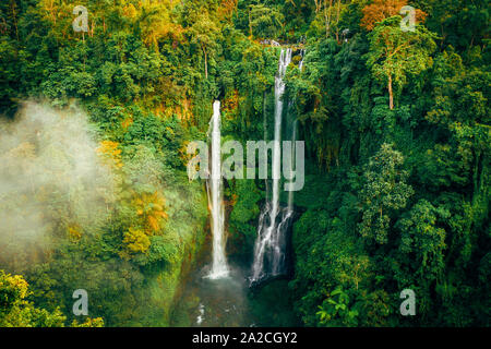 Chute d'eau immense forêt tropicale dense iin sur l'île de Bali, Indonésie, entouré de brume Banque D'Images