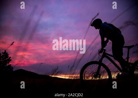 Une femme en vélo de montagne au coucher du soleil près de Missoula, Montana Banque D'Images