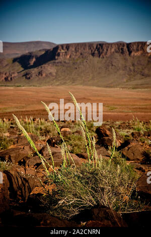 Paysage désertique typique des montagnes de l'Atlas au Maroc, dans la vallée de Ouarzazate. Banque D'Images