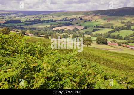 North Yorkshire Moors, UK Banque D'Images