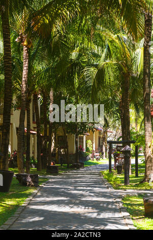 Hanoi, Vietnam - 31 janvier 2014 : Green Palm parc de l'hôtel au Vietnam. Bel espace vert de l'hôtel Banque D'Images