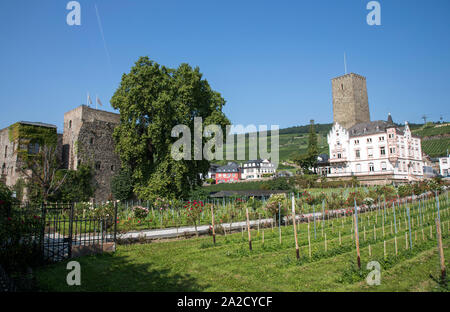 Brömserburg Rheingaues avec le musée du vin, à Rüdesheim sur le Rhin, Allemagne Banque D'Images