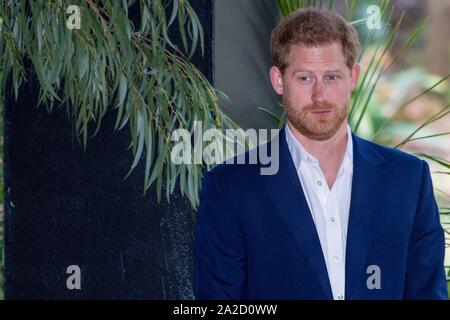 Johannesburg, Afrique du Sud. 09Th Oct, 2019. Harry et Meghan, Duc et Duchesse de Sussex à Johannesburg, le 02 octobre 2019, la participation à une création d'entreprise et réception à la Haut Commissaire britannique est residenceCredit : Albert Nieboer/ Pays-Bas OUT/Point de vue OUT |/dpa/Alamy Live News Banque D'Images