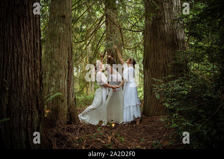 Femme trois nymphes en forêt, Bainbridge Island, Washington, USA Banque D'Images