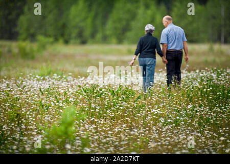 Mature couple marche à travers un champ de fleurs la main dans la main Banque D'Images