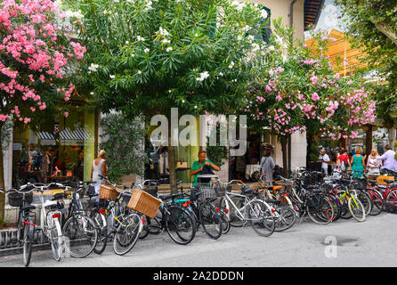 Vue sur la rue du centre-ville de Forte dei Marmi avec une rangée de vélos garés à l'ombre des plantes à fleurs de lauriers roses, la Versilia, Toscane, Italie Banque D'Images