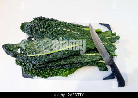 Cavolo nero en préparation dans un environnement de cuisine Banque D'Images