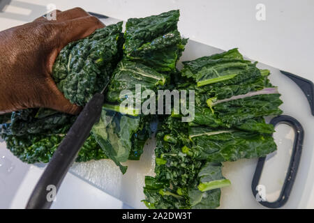 Cavolo nero en préparation dans un environnement de cuisine Banque D'Images