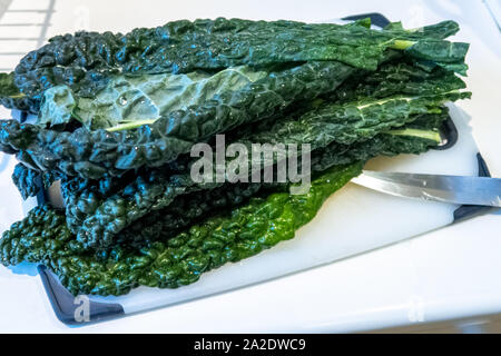 Cavolo nero en préparation dans un environnement de cuisine Banque D'Images