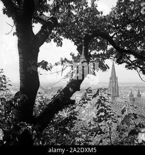 Blick auf einer Anhöhe von Freiburg aus Deutschland, 1930er Jahre. Vue d'une colline de Freiburg, Allemagne 1930. Banque D'Images