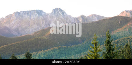 Giewont et collines couvertes de l'épinette Banque D'Images