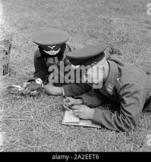 Zwei Rekruten der Luftwaffe der Wehrmacht mit einer der Brieftaube en Heeres-Brieftauben-Anstalt, Berlin Spandau 1930er Jahre. Deux recrues de la Luftwaffe allemande avec un pigeon voyageur, Berlin Spandau 1930. Banque D'Images