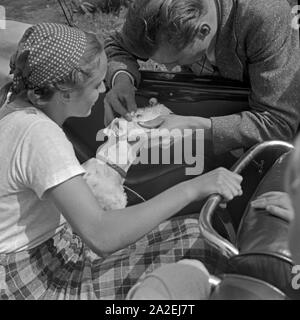 Ein Mann und eine Frau untersuchen das Auge votre Foxterriers, 1930er Jahre Deutschland. Un homme et une femme wxamining l'oeil de leur chien fox terrier, Allemagne 1930. Banque D'Images