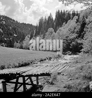 Ein kleiner Steg führt über einen Bach im Schwarzwald, Deutschland 1930er Jahre. Un peu de promenade sur un petit ruisseau en Forêt Noire, Allemagne 1930. Banque D'Images