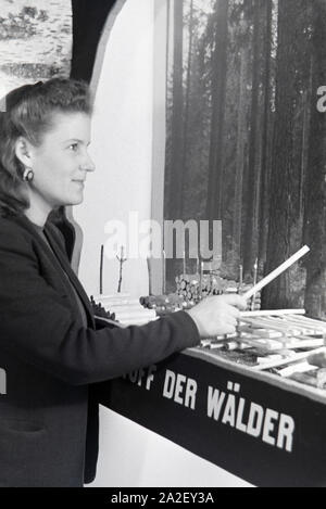 Eine der Leipziger Frühjahrsmesse Besucherin vor einem Modell der Rohstoffnutzung Holz, Deutschland 1941. Un visiteur de la Leipziger Frühjahrsmesse en face d'un modèle de l'utilisation de la matière première bois, Allemagne 1941. Banque D'Images