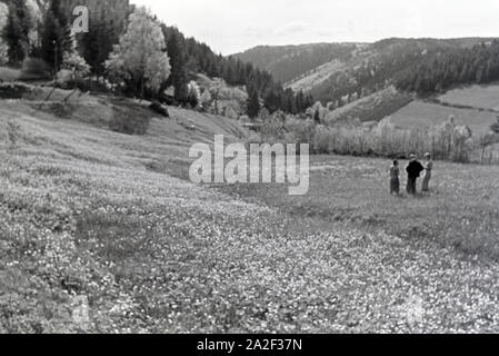 Wanderer Feld auf einem im Donautal bei Wildenstein, Deutschland 1930 er Jahre. Les randonneurs debout sur un champ dans le Danube Dale, Allemagne 1930. Banque D'Images