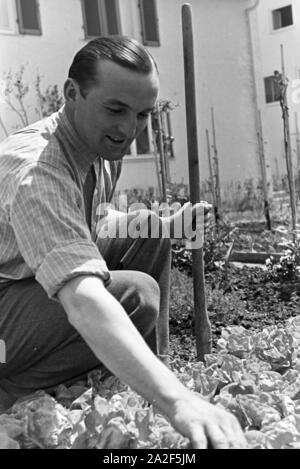 Der Autorennfahrer Hermann Lang bei der Gartenarbeit, Deutschland 1930 er Jahre. Le pilote de course Hermann Lang fait quelques travaux de jardinage, de l'Allemagne des années 1930. Banque D'Images